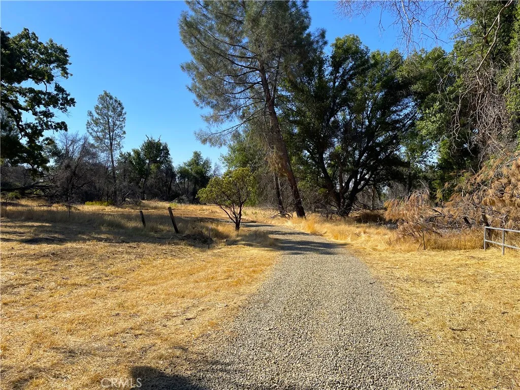 705 Triangle Road Mariposa, CA 95338 - Photo 5 of 14
