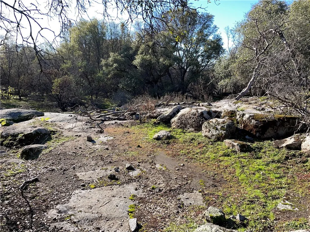 705 Triangle Road Mariposa, CA 95338 - Photo 9 of 14