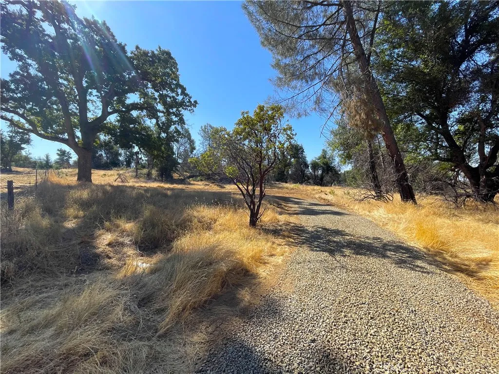 705 Triangle Road Mariposa, CA 95338 - Photo 10 of 14