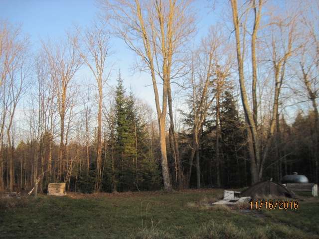 N16396 Bass Lake Road Butternut, WI 54514 - Photo 14 of 16 Gallery Image 14
