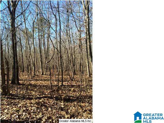 3703 Co Highway 24 Springville, AL 35146 - Photo 26 of 28