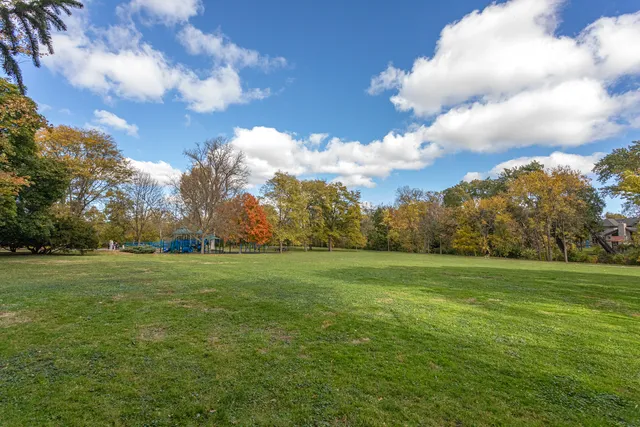 a view of a big yard with trees and a big yard