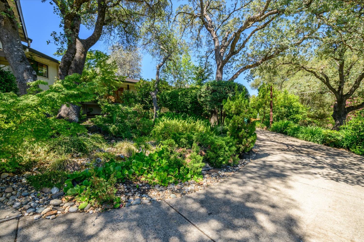 3165 Oakwood Road Cameron Park, CA 95682 - Photo 13 of 55
