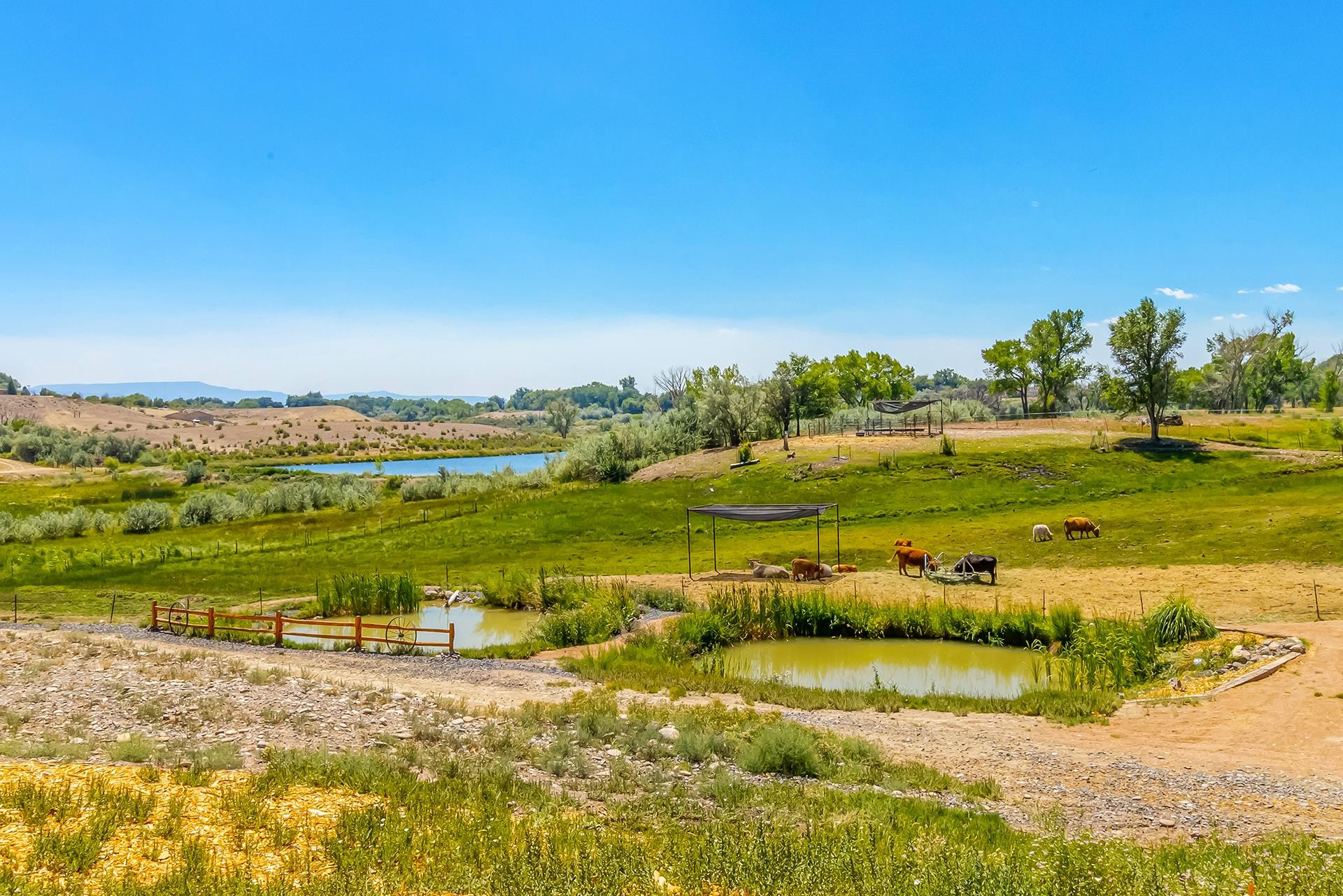 1765 F 50th Road Delta, CO 81416 - Photo 3 of 42