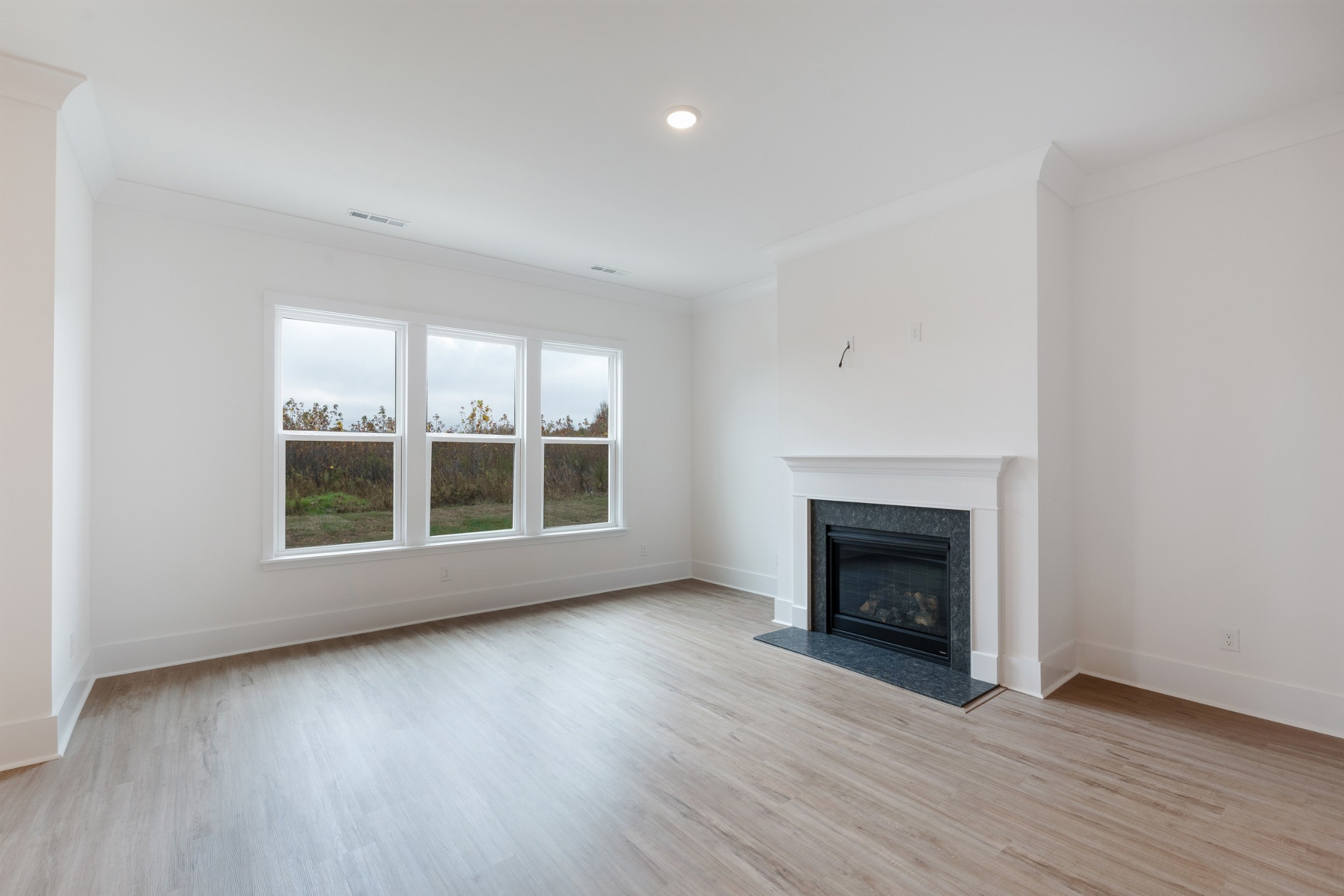 7748 Second Fiddle Way Arrington, TN 37014 - Photo 10 of 32