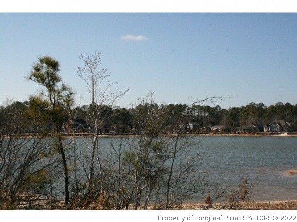 233 Clearview Court Sanford, NC 27332 - Photo 1 of 3 a view of an outdoor space and a yard