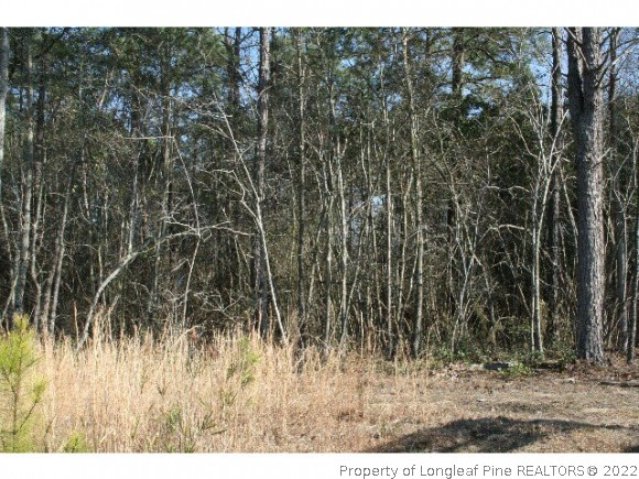 233 Clearview Court Sanford, NC 27332 - Photo 2 of 3 a view of a yard with a tree