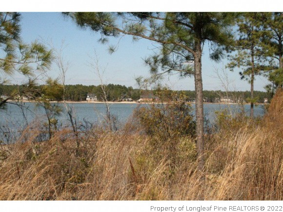 233 Clearview Court Sanford, NC 27332 - Photo 3 of 3 a view of a lake with a mountain in the back