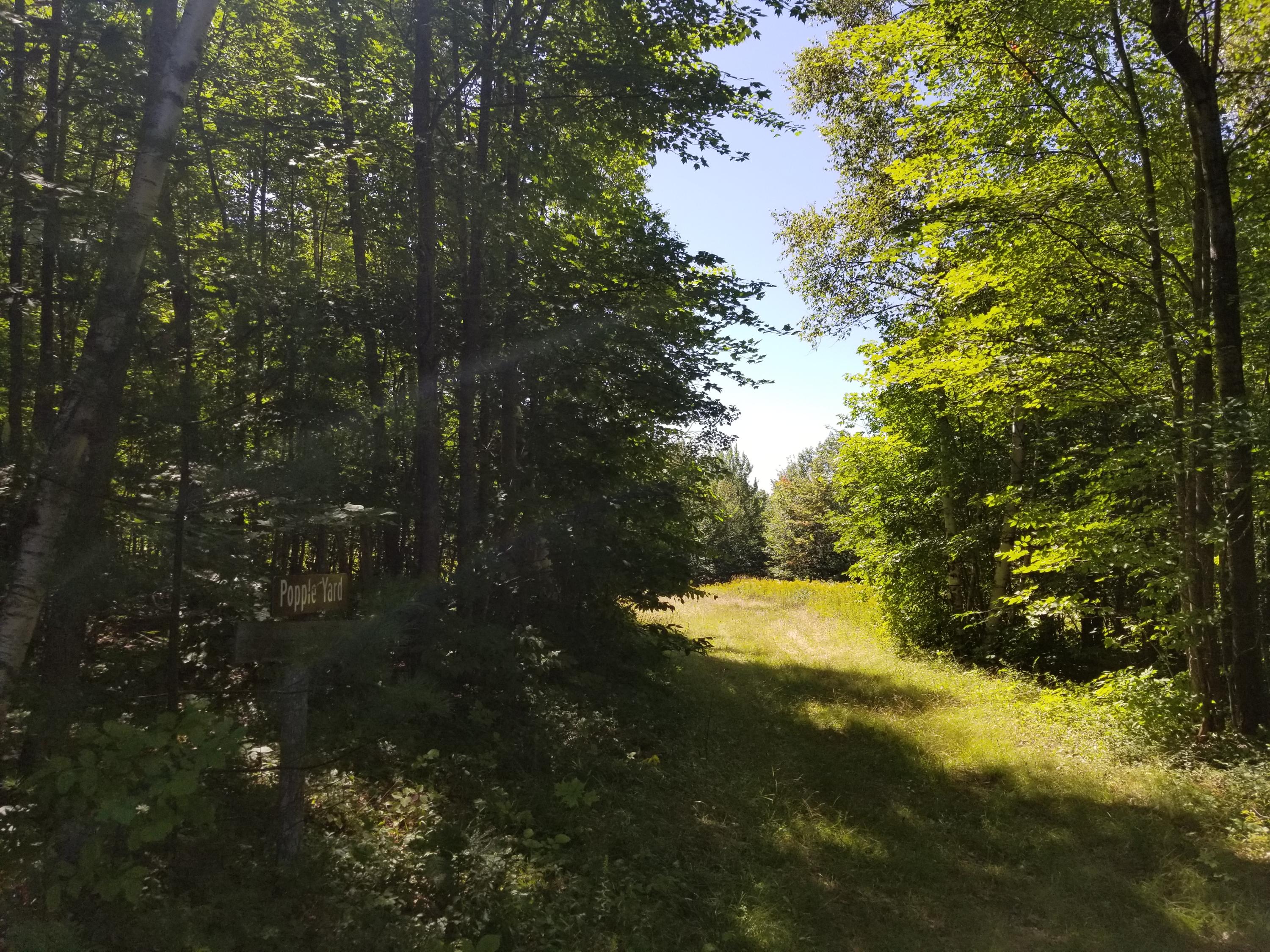 0 Weld Road Phillips, ME 04966 - Photo 5 of 47 20190905_122637