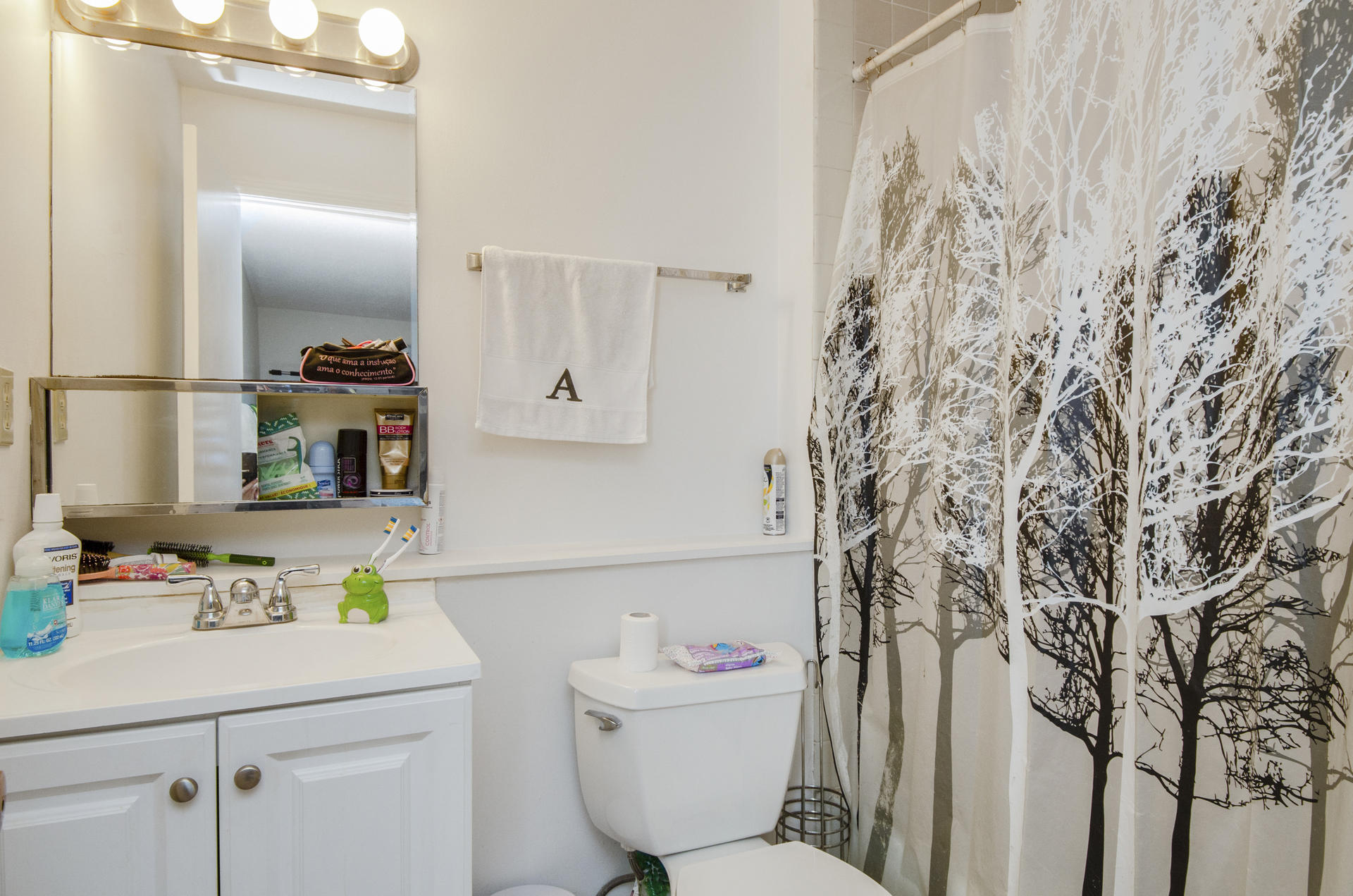 800 Bearses Way, Unit 4EC Hyannis, MA 02601 - Photo 18 of 20 a bathroom with a sink toilet and a mirror