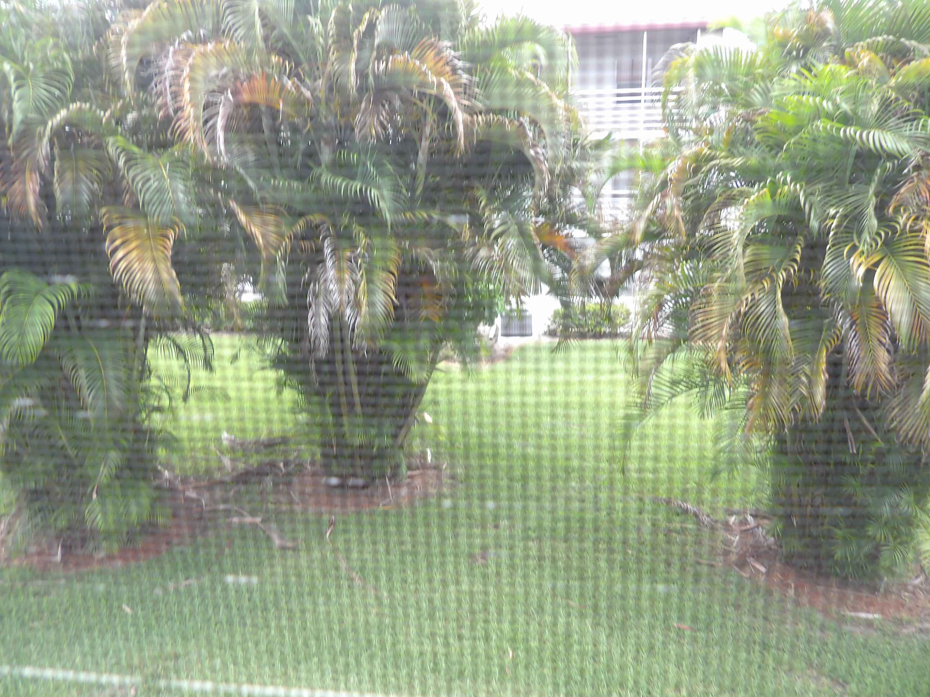 195 Fanshaw Way, Unit 195 Boca Raton, FL 33434 - Photo 25 of 42 100_0943
