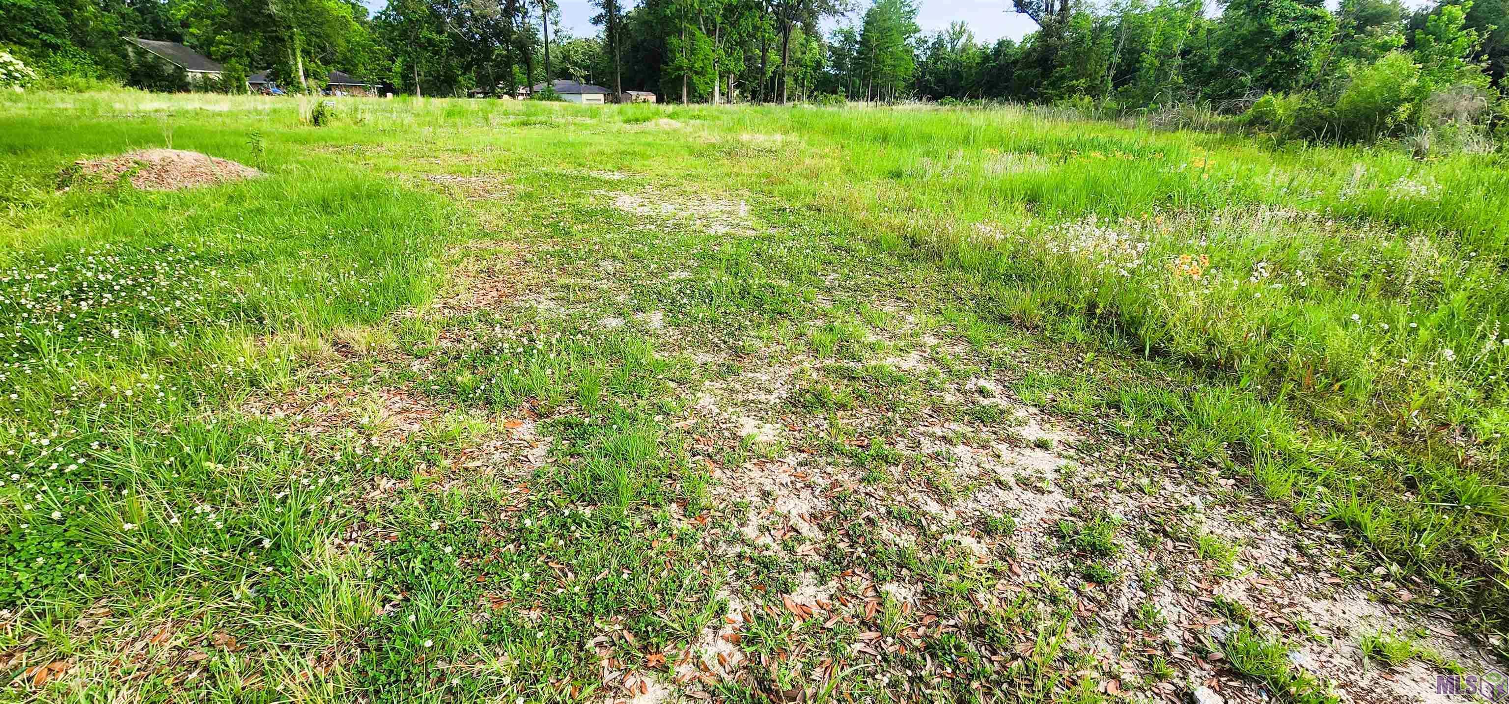 9442 Hooper Road Baton Rouge, LA 70818 - Photo 5 of 9
