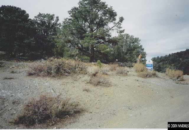 21483 Delta Drive Reno, NV 89521 - Photo 1 of 1 Photo 1