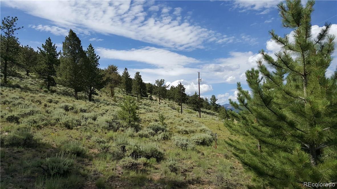 Lot 489 Redhill Road Fairplay, CO 80440 - Photo 5 of 6 Gallery Image 5