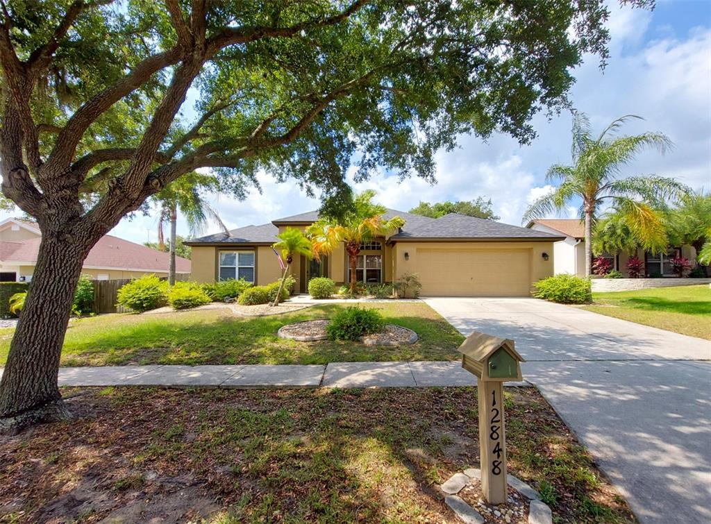 12848 Raysbrook Drive Riverview, FL 33569 - Photo 1 of 1