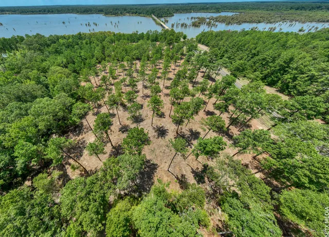 $150,000 | 8 Fm 83, Bronson, TX 75930