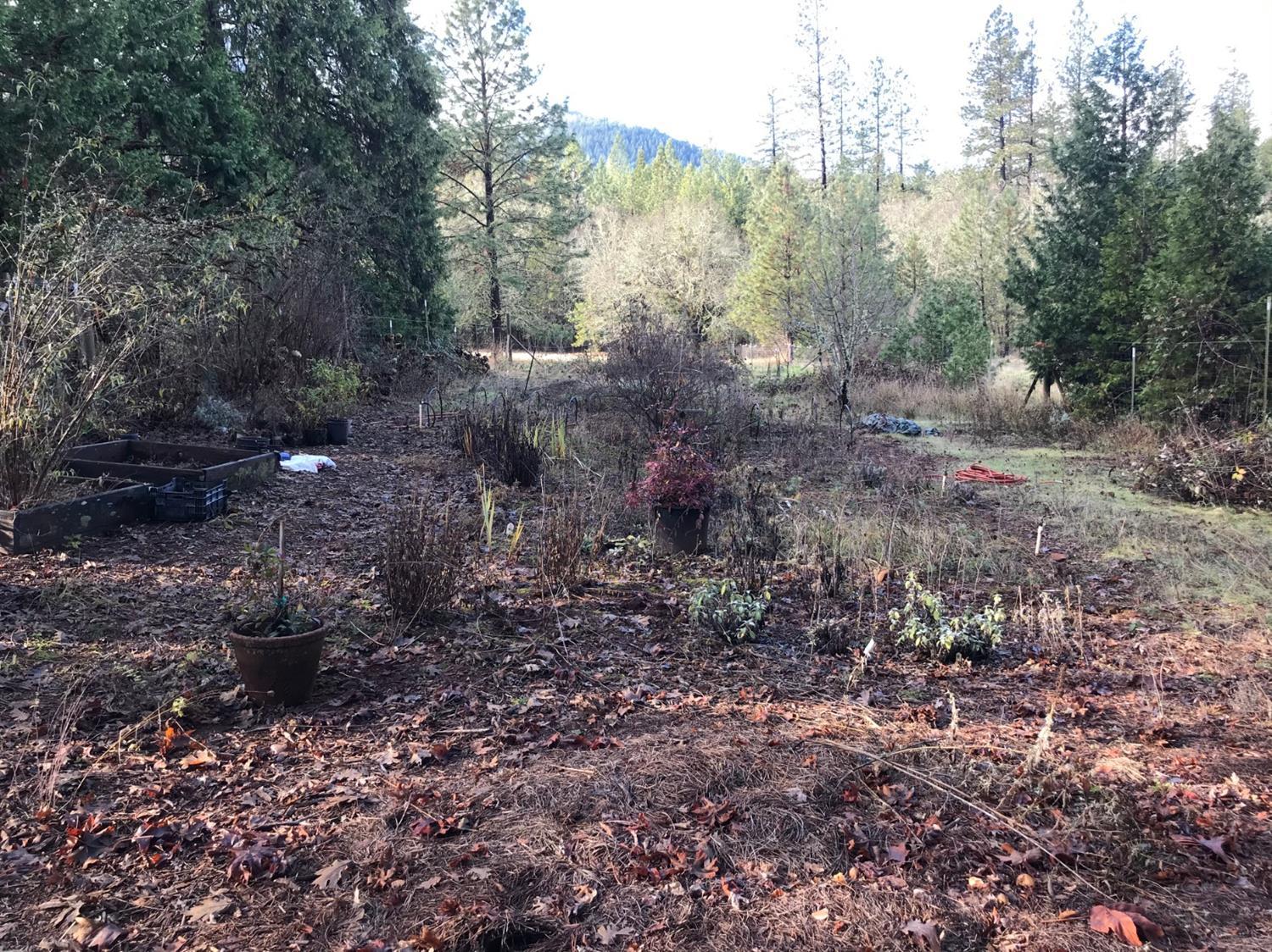 1805 Southside Road Grants Pass, OR 97527 - Photo 11 of 29 Additional Photo