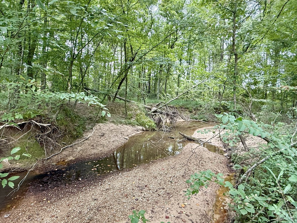 0 King Road Wesson, MS 39191 - Photo 13 of 40 Photo 13