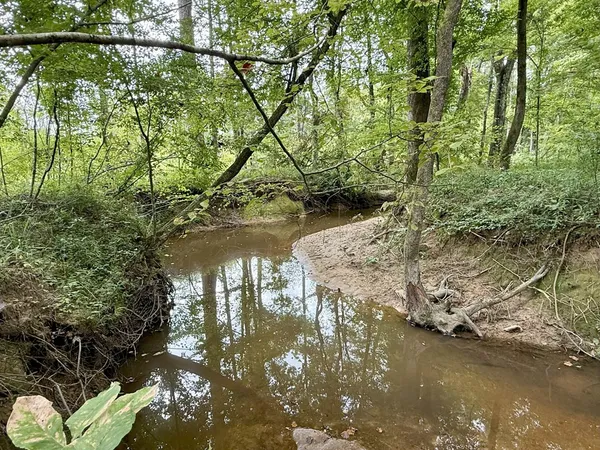 $89,750 | 0 King Road, Wesson, MS 39191