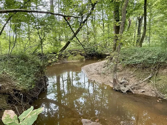 $94,900 | 0 King Road, Wesson, MS 39191