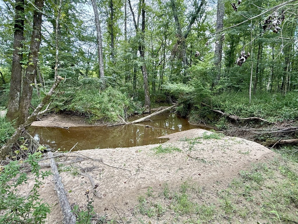 0 King Road Wesson, MS 39191 - Photo 17 of 40 Photo 17