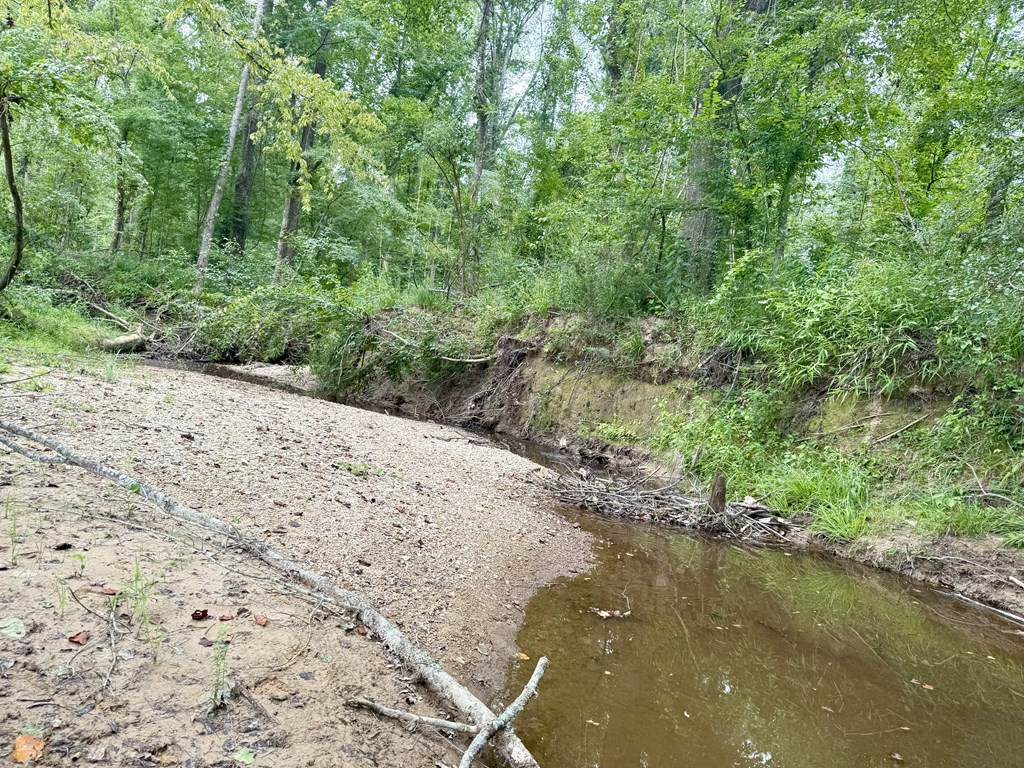 0 King Road Wesson, MS 39191 - Photo 18 of 40 Photo 18