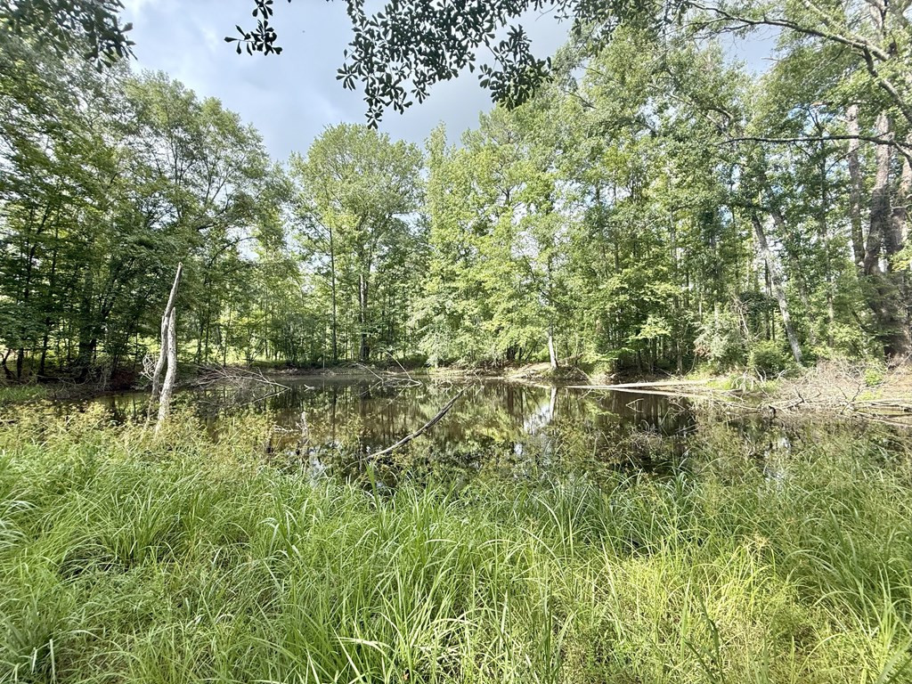 0 King Road Wesson, MS 39191 - Photo 20 of 40 Photo 20