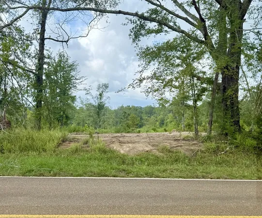$89,750 | 0 King Road, Wesson, MS 39191