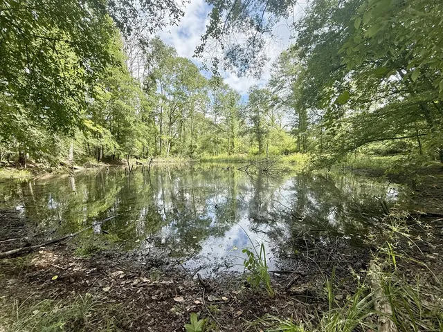 $94,900 | 0 King Road, Wesson, MS 39191