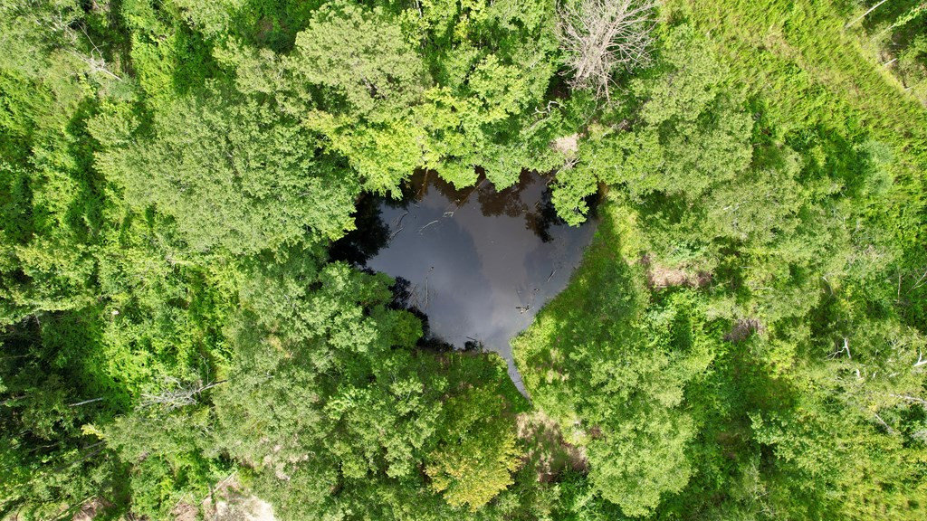 0 King Road Wesson, MS 39191 - Photo 23 of 40 Photo 23