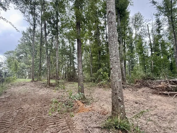 $89,750 | 0 King Road, Wesson, MS 39191