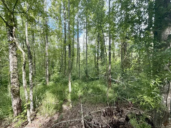 $89,750 | 0 King Road, Wesson, MS 39191