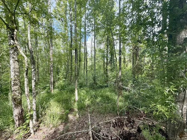 $94,900 | 0 King Road, Wesson, MS 39191