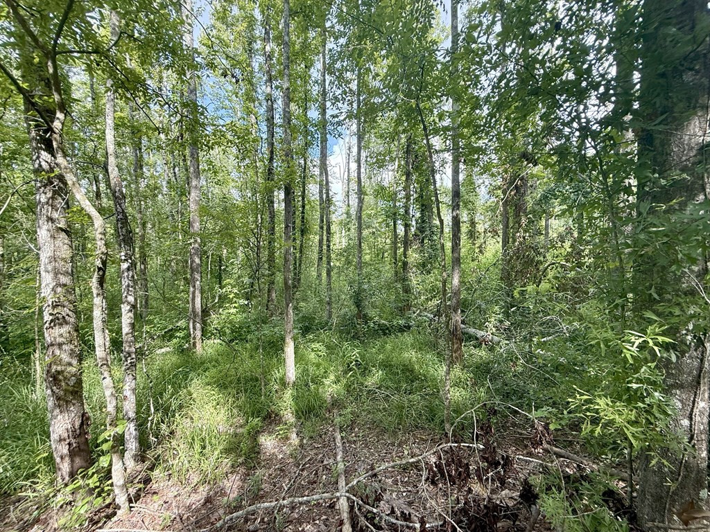 0 King Road Wesson, MS 39191 - Photo 25 of 40 Photo 25