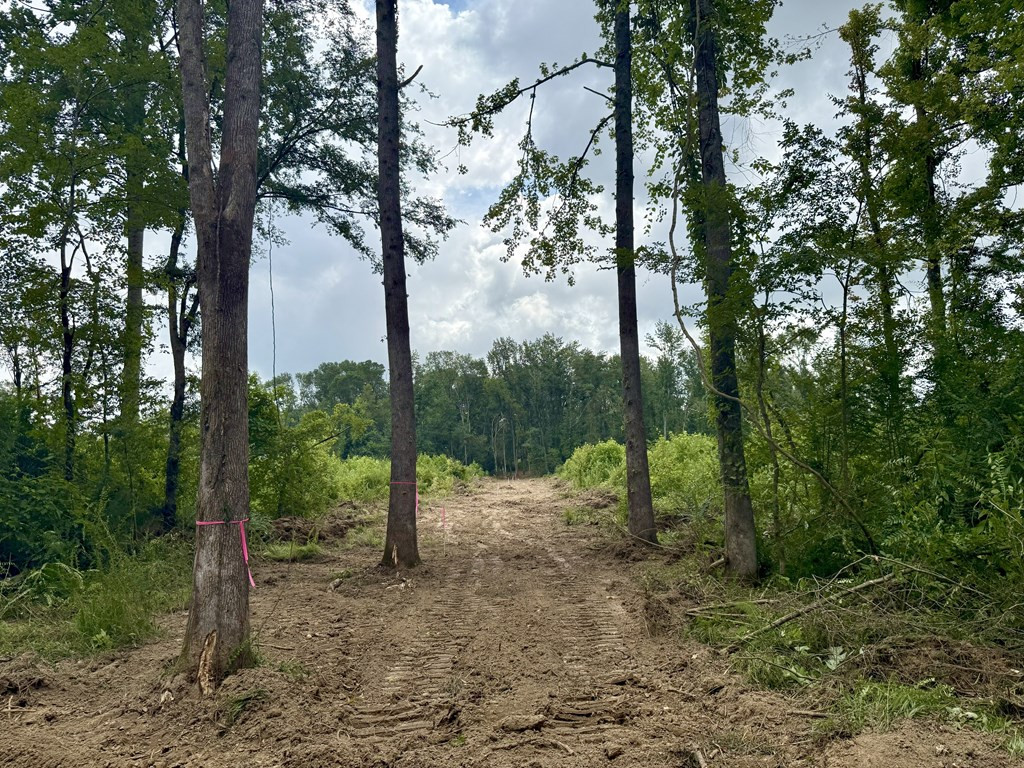 0 King Road Wesson, MS 39191 - Photo 26 of 40 Photo 26