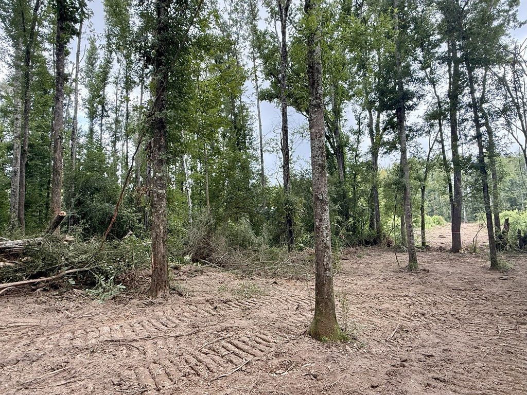 0 King Road Wesson, MS 39191 - Photo 3 of 40 Photo 3