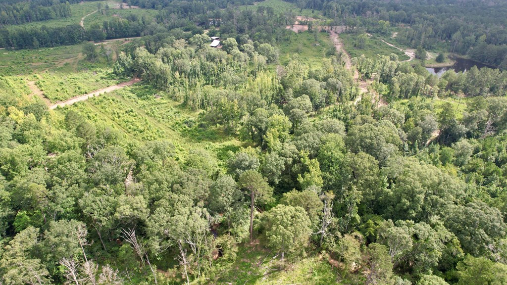 0 King Road Wesson, MS 39191 - Photo 32 of 40 Photo 32