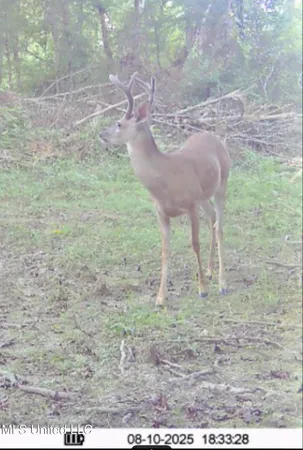 $89,750 | 0 King Road, Wesson, MS 39191