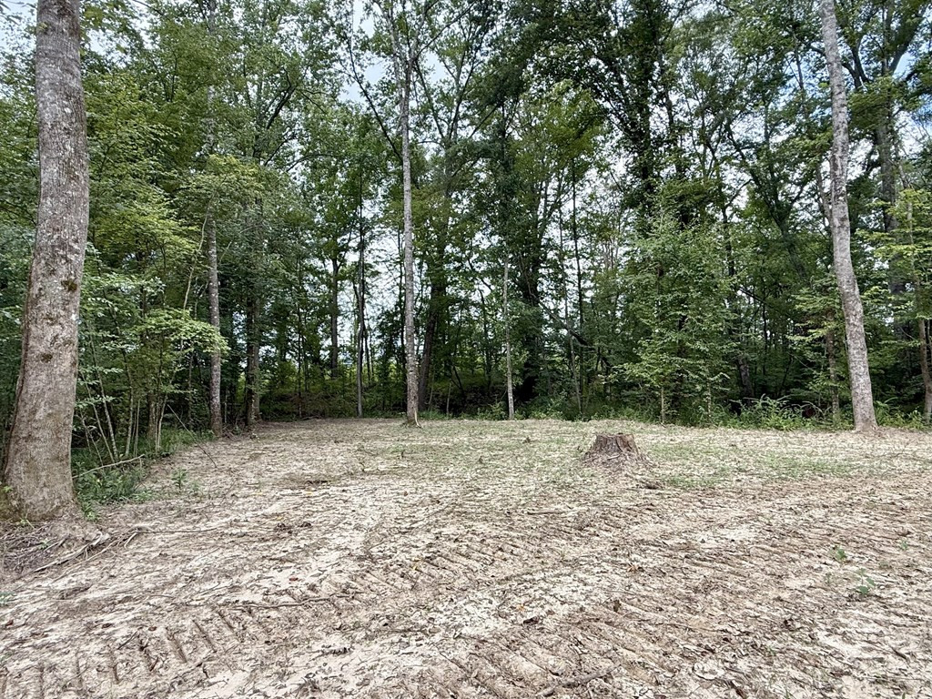 0 King Road Wesson, MS 39191 - Photo 4 of 40 Photo 4