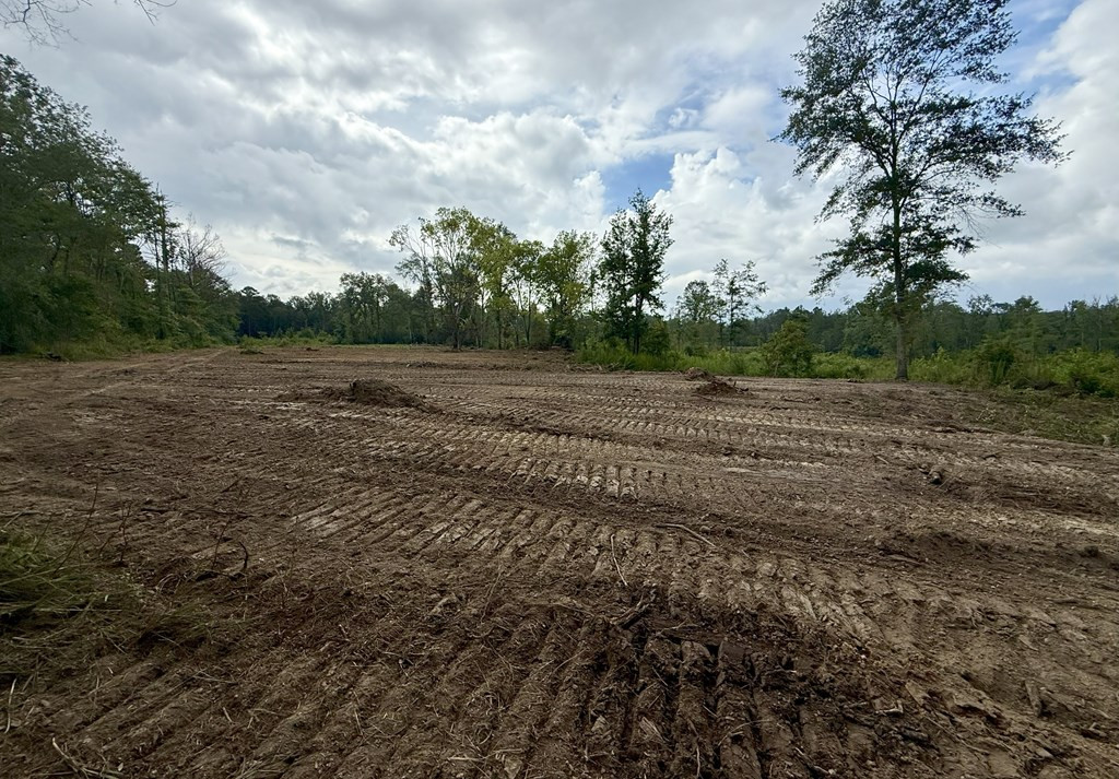 0 King Road Wesson, MS 39191 - Photo 8 of 40 Photo 8