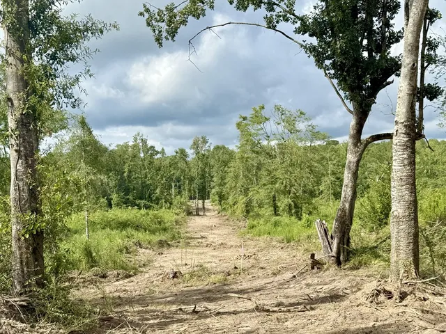 $94,900 | 0 King Road, Wesson, MS 39191