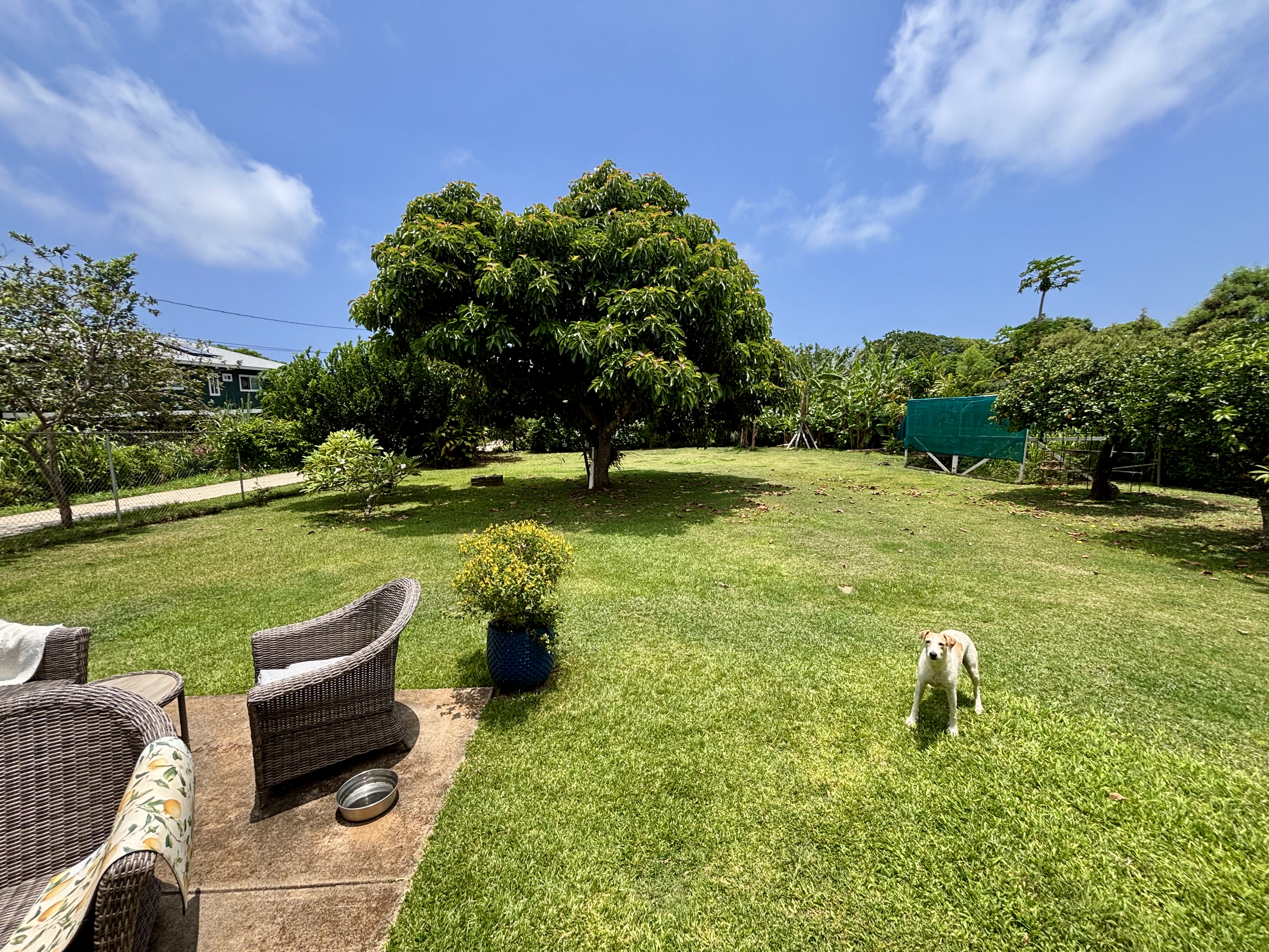 396 Pua Road Kapaa, HI 96746 - Photo 12 of 18 Gallery Image 12
