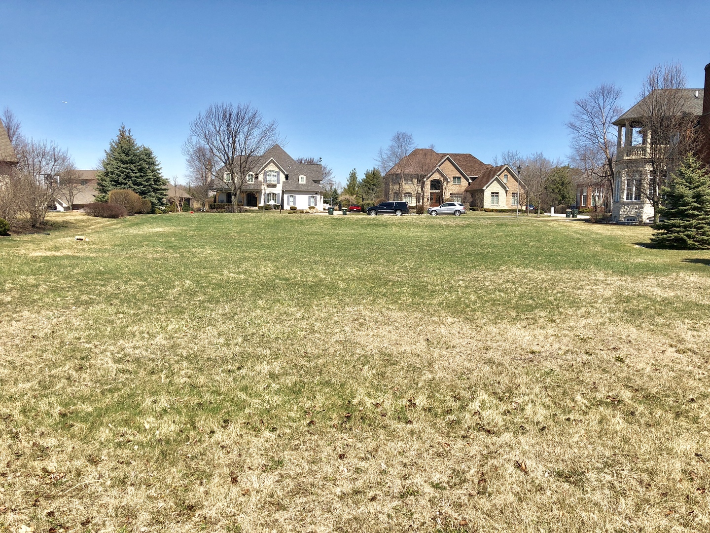 Undisclosed Address Burr Ridge, IL 60527 - Photo 2 of 5 a view of a garden