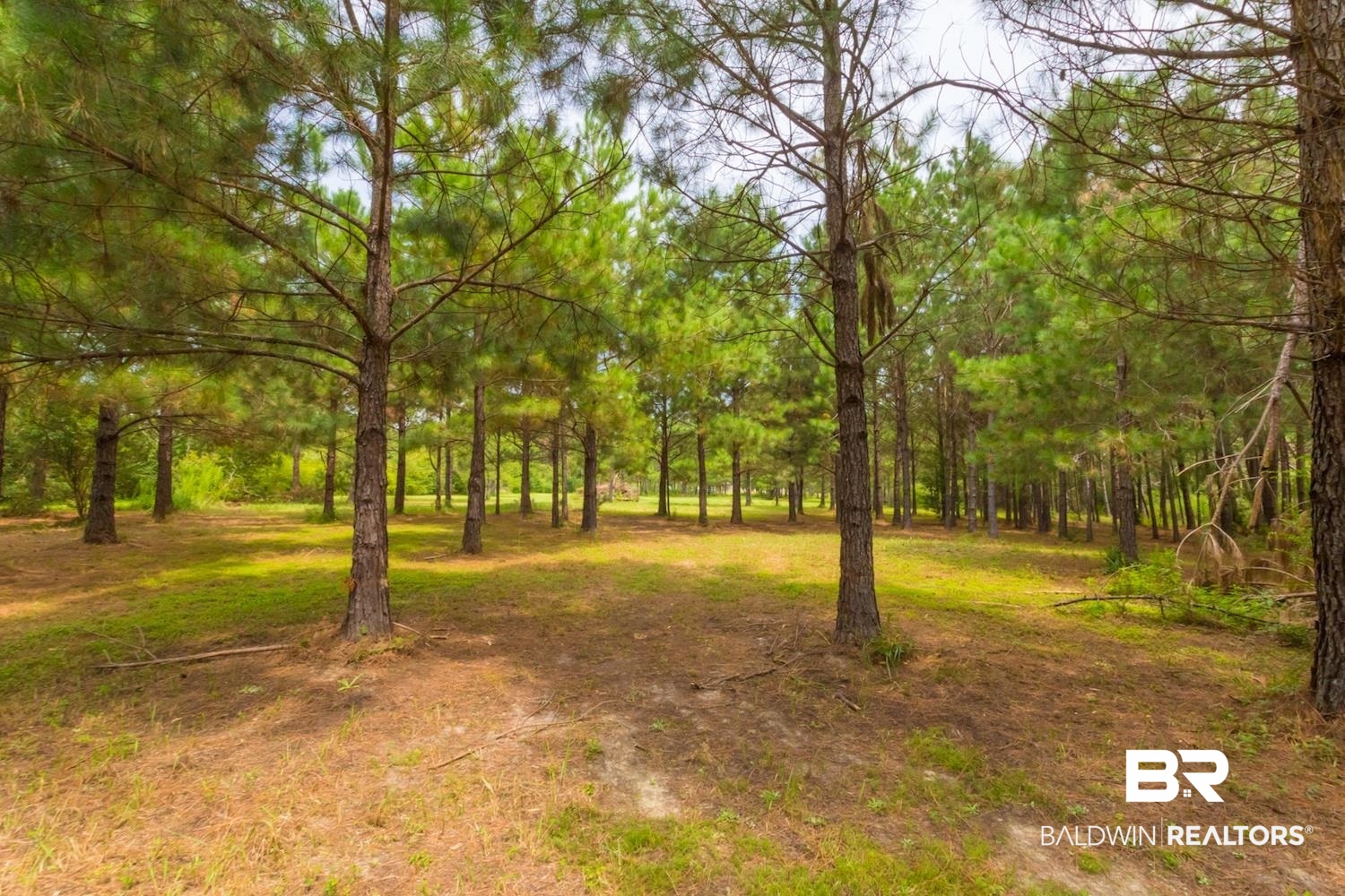 28562 Malkoskie Road Elberta, AL 36530 - Photo 36 of 38