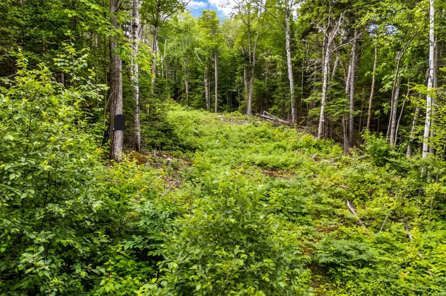 $159,000 | Lot 1 Shelton Trail, Roxbury, ME 04275