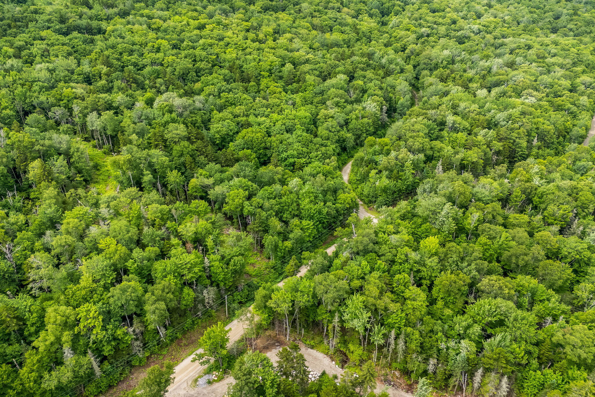 Lot 1 Shelton Trail Roxbury, ME 04275 - Photo 7 of 12 5-web-or-mls-121-shelton-trail