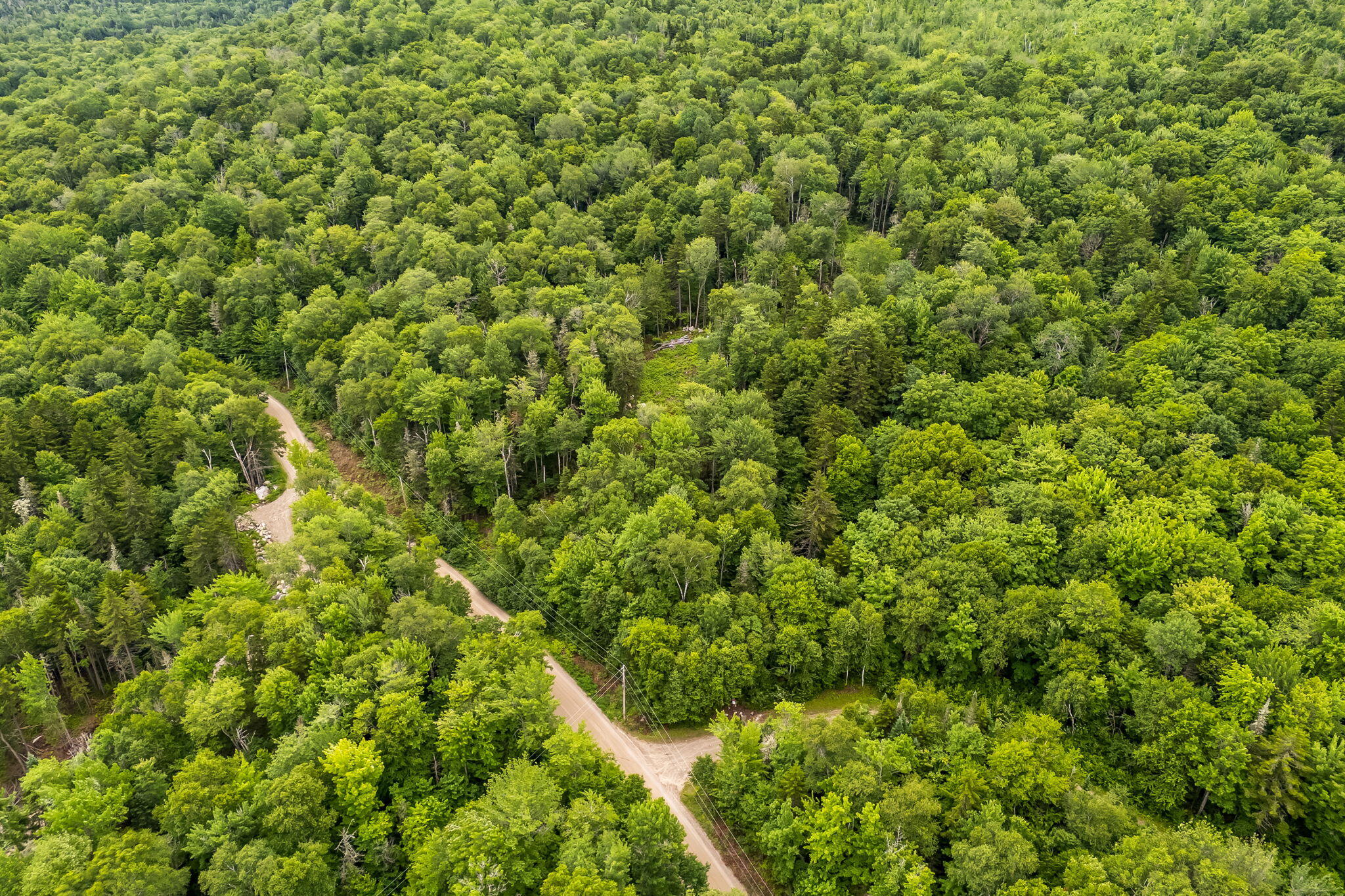 Lot 1 Shelton Trail Roxbury, ME 04275 - Photo 8 of 12 8-web-or-mls-121-shelton-trail