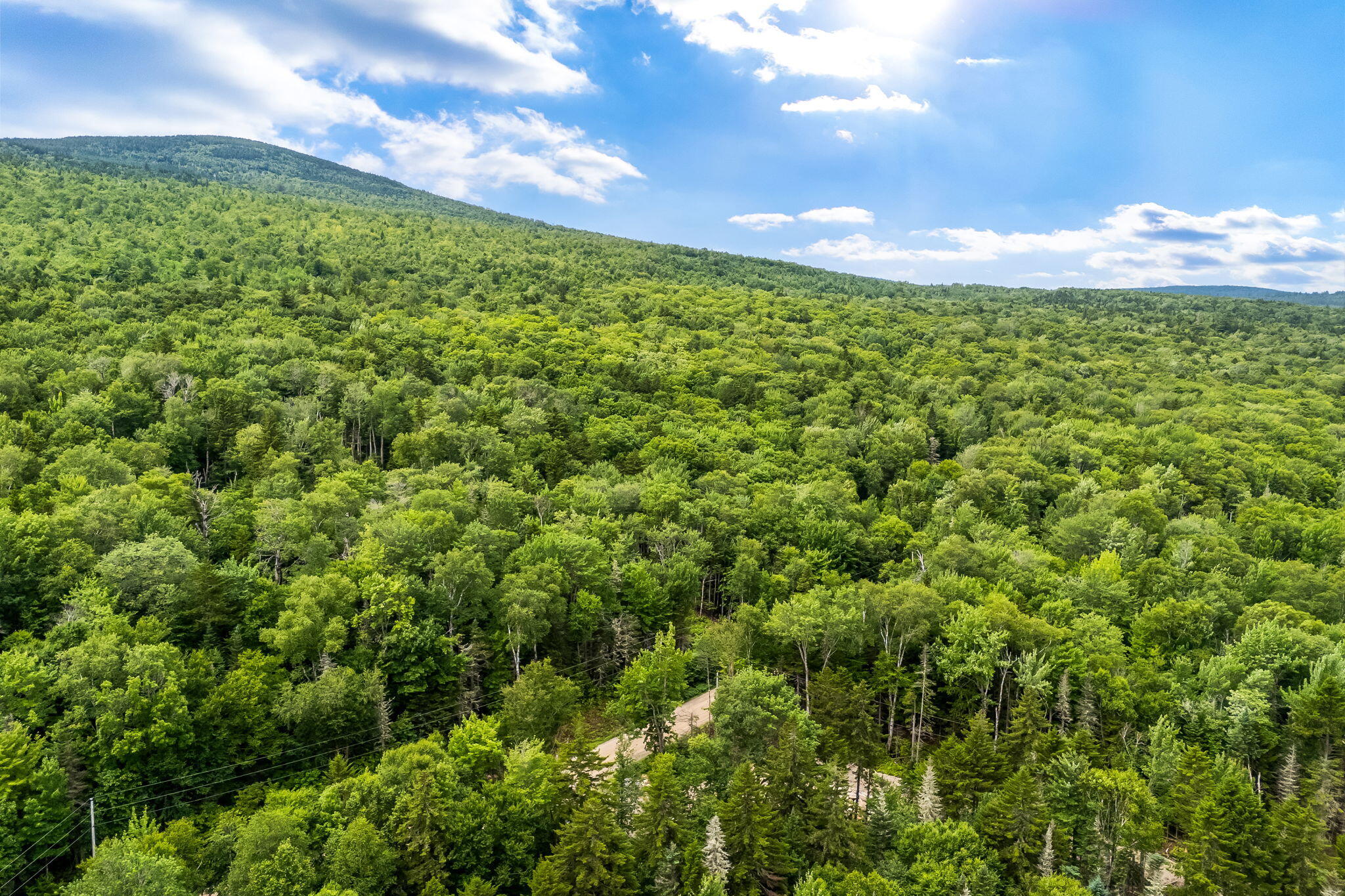 Lot 1 Shelton Trail Roxbury, ME 04275 - Photo 9 of 12 1-web-or-mls-121-shelton-trail