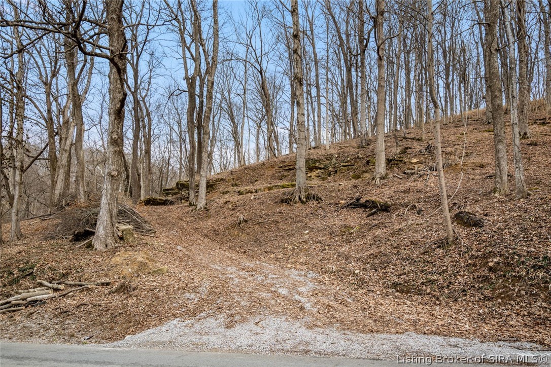 0 Rose Island Road Prospect, KY 40059 - Photo 1 of 28