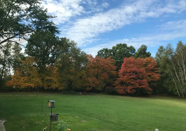 $325,000 | 7208 West Dickerson Lake Road, Stanton, MI 48888